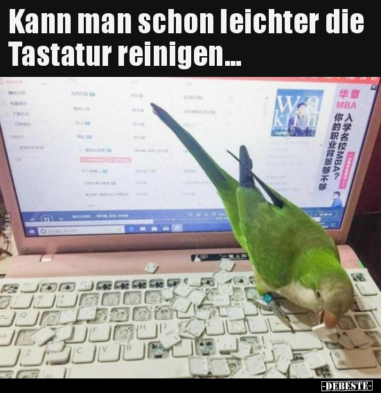 Kann man schon leichter die Tastatur reinigen... - Lustige Bilder | DEBESTE.de