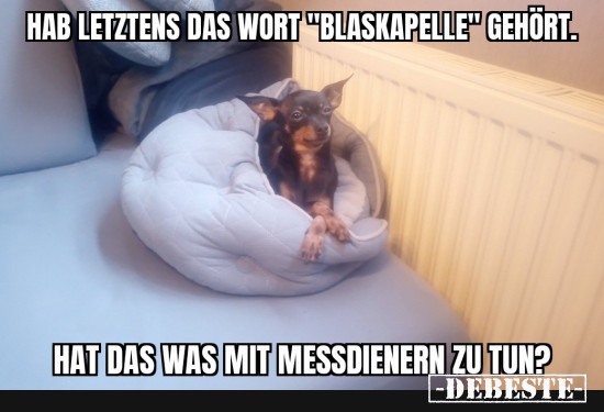 Philosovieh - Lustige Bilder | DEBESTE.de