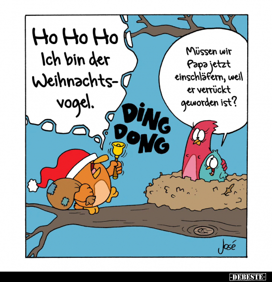 Ho Ho Ho Ich bin der Weihnachtsvogel.. - Lustige Bilder | DEBESTE.de