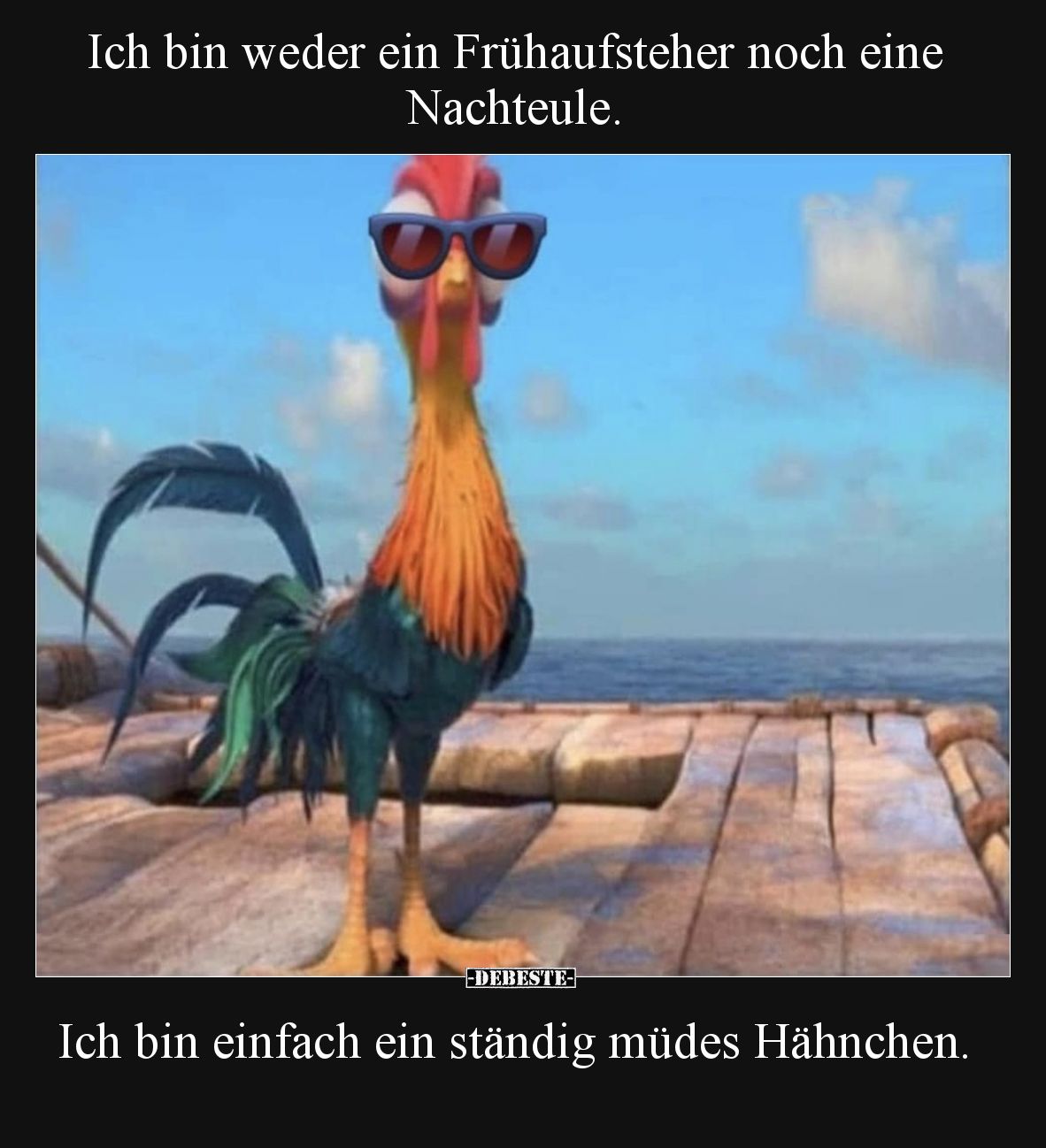 Ich bin weder ein Frühaufsteher noch eine Nachteule.  Ich bin einfach ein ständig müdes Hähnchen.