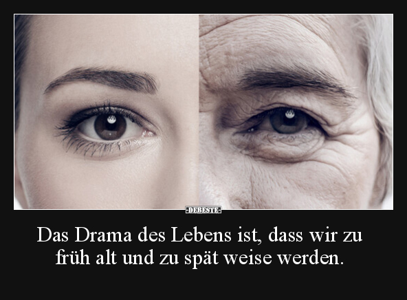 Das Drama des Lebens ist, dass wir zu früh alt und zu spät.. - Lustige Bilder | DEBESTE.de