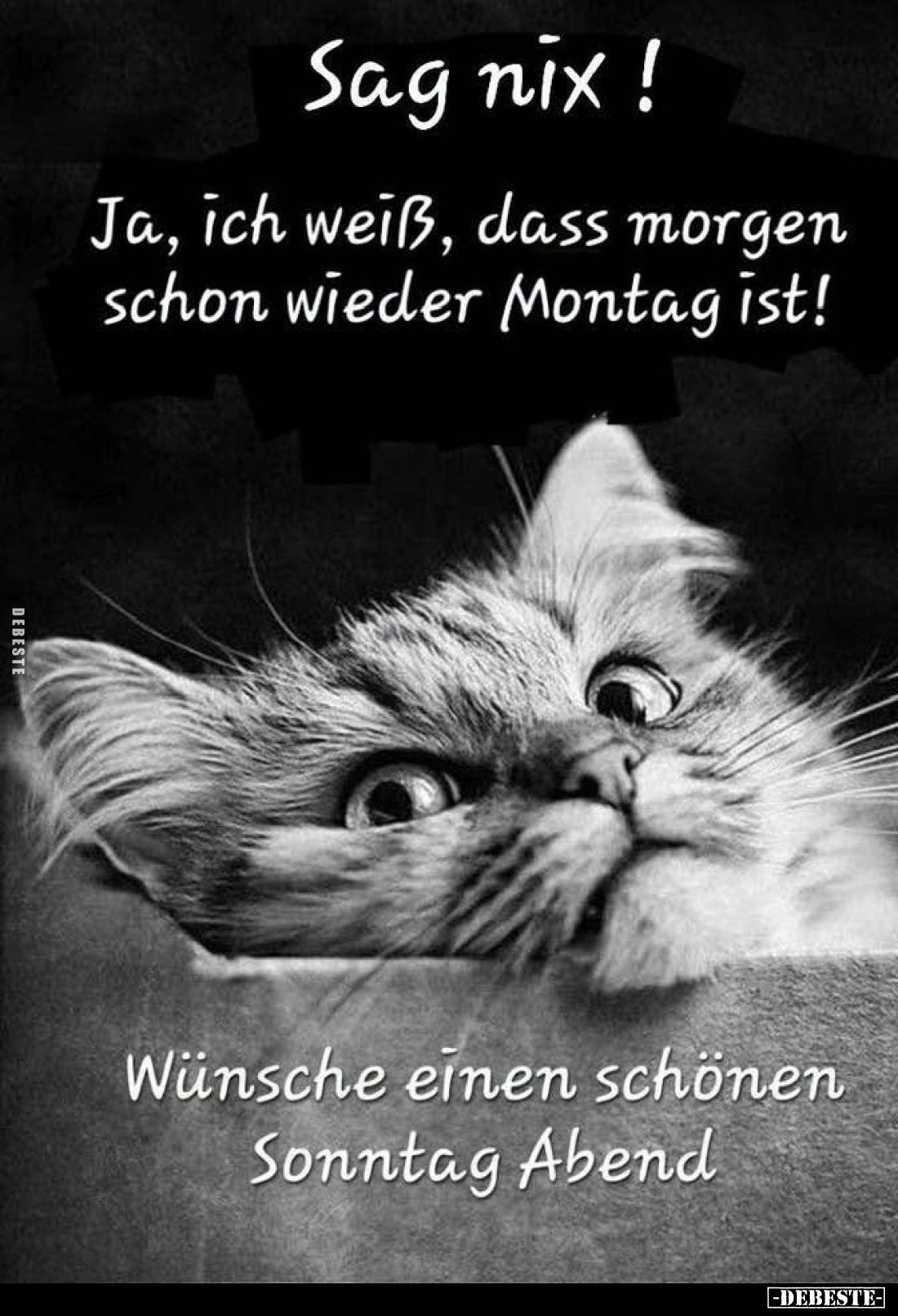 Sag nix! Ja, ich weiß, dass morgen schon wieder Montag ist!.. - Lustige Bilder | DEBESTE.de
