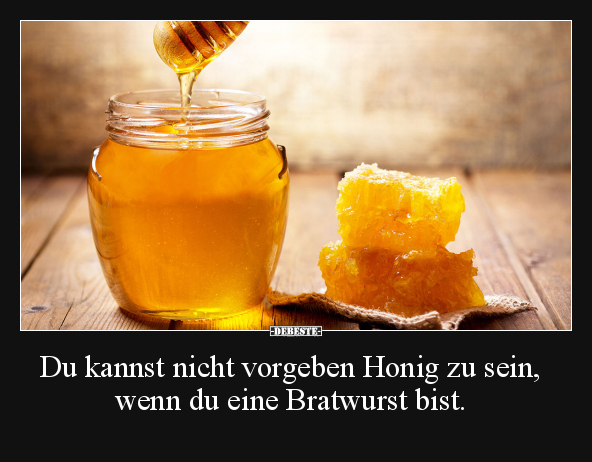 Du kannst nicht vorgeben Honig zu sein.. - Lustige Bilder | DEBESTE.de
