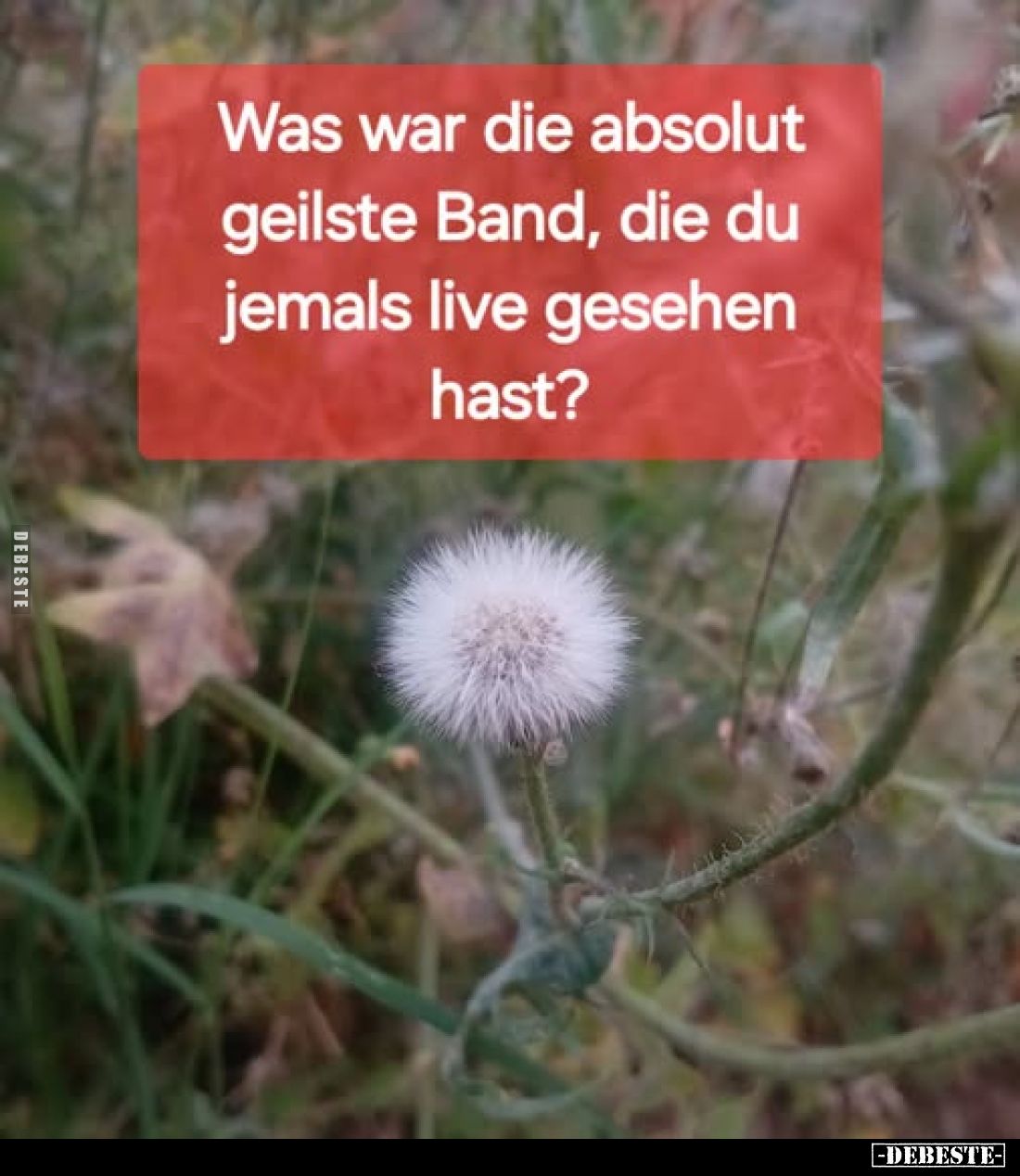 Was war die absolut geilste Band, die du jemals live gesehen hast?