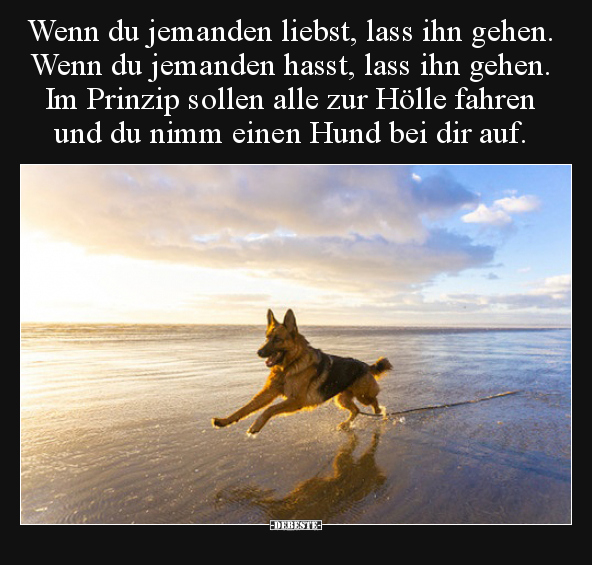Wenn du jemanden liebst, lass ihn gehen. Wenn du jemanden..