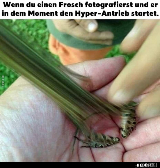 Wenn du einen Frosch fotografierst und er in dem Moment den.. - Lustige Bilder | DEBESTE.de