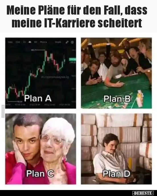 Meine Pläne für den Fall, dass meine IT-Karriere.. - Lustige Bilder | DEBESTE.de