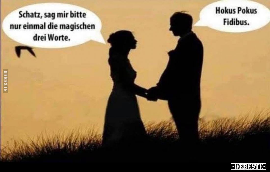 Schatz, sag mir bitte nur einmal die magischen drei Worte.
Hokus Pokus Fidibus.
