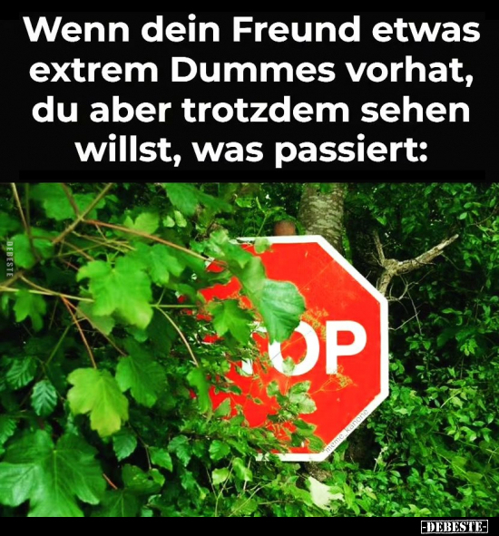 Wenn dein Freund etwas extrem Dummes vorhat.. - Lustige Bilder | DEBESTE.de