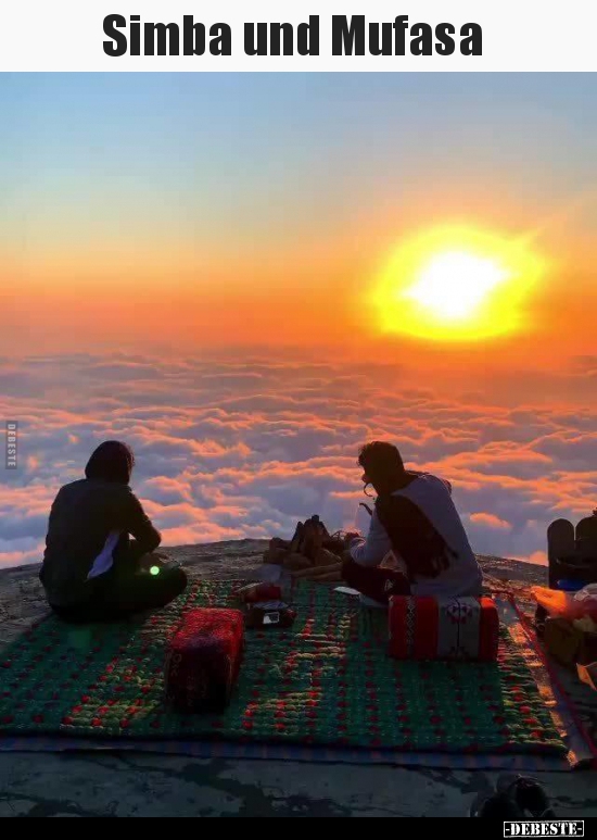 Simba und Mufasa..