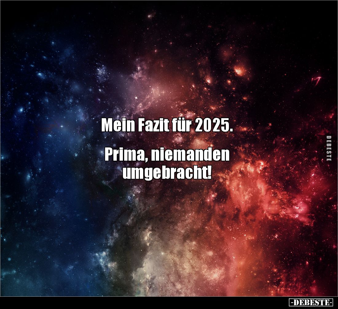 Mein Fazit für 2025.  Prima, niemanden umgebracht!.. - Lustige Bilder | DEBESTE.de