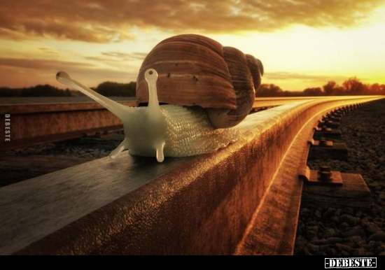  - Lustige Bilder | DEBESTE.de