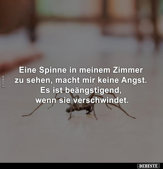 Eine Spinne in meinem Zimmer zu sehen, macht mir keine.. - Lustige Bilder | DEBESTE.de