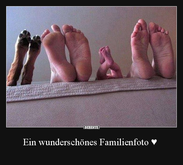Ein wunderschönes Familienfoto.. - Lustige Bilder | DEBESTE.de