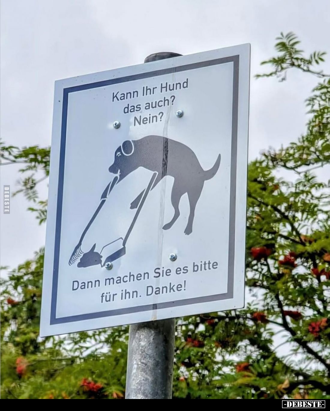 Kann Ihr Hund das auch? Nein?
Dann machen Sie es bitte für ihn. Danke!