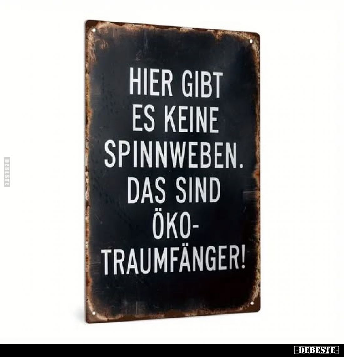 Hier gibt es keine Spinnweben. -
Das sind Ökotraumfänger!