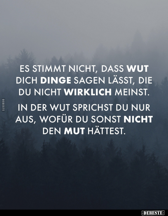 Es stimmt nicht, dass Wut dich Dinge sagen lässt.. - Lustige Bilder | DEBESTE.de