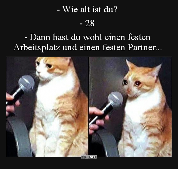 - Wie alt ist du? - 28 - Dann hast du wohl einen festen..