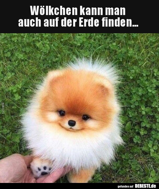 Wölkchen kann man auch auf der Erde finden...