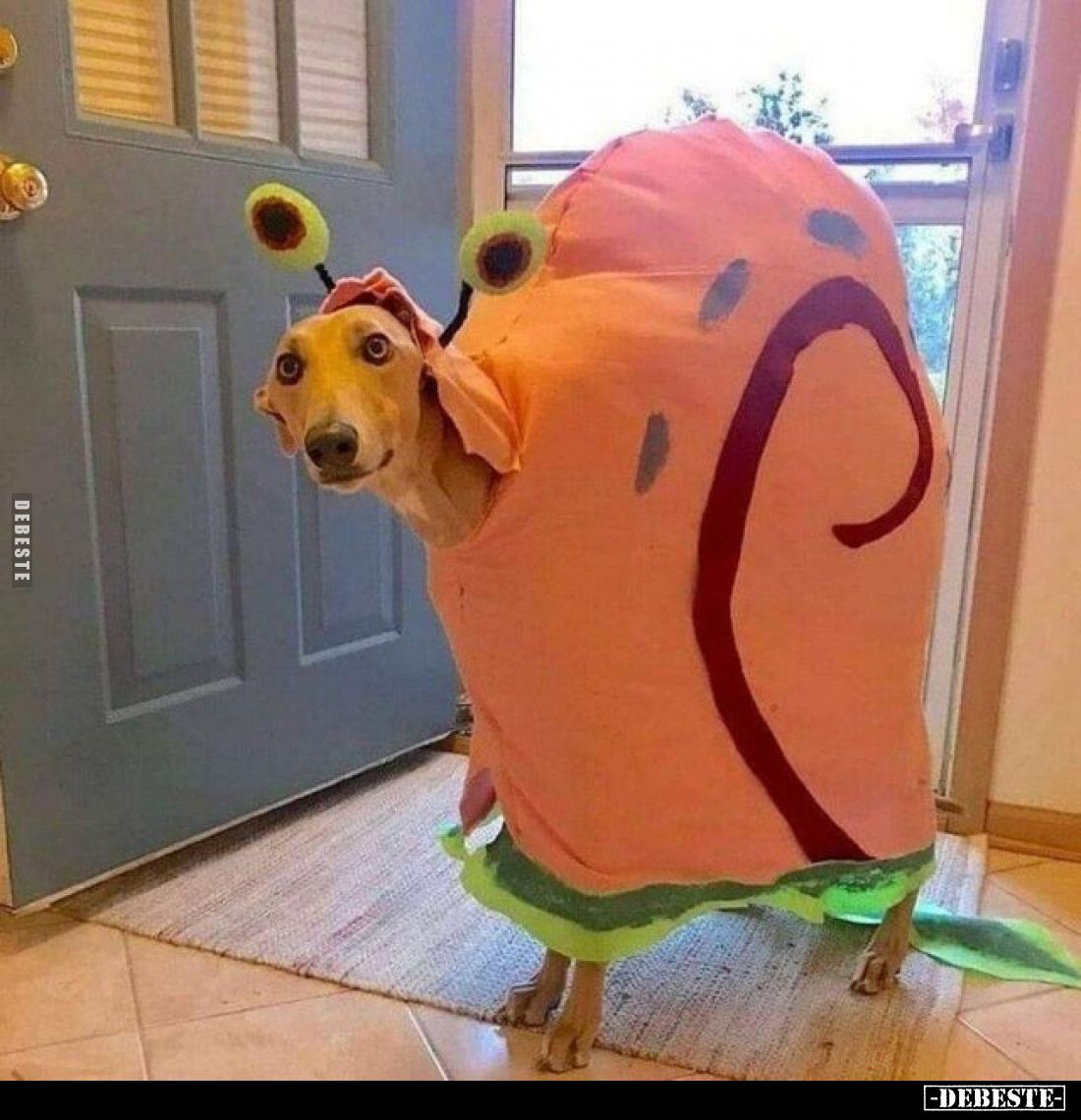 ☻