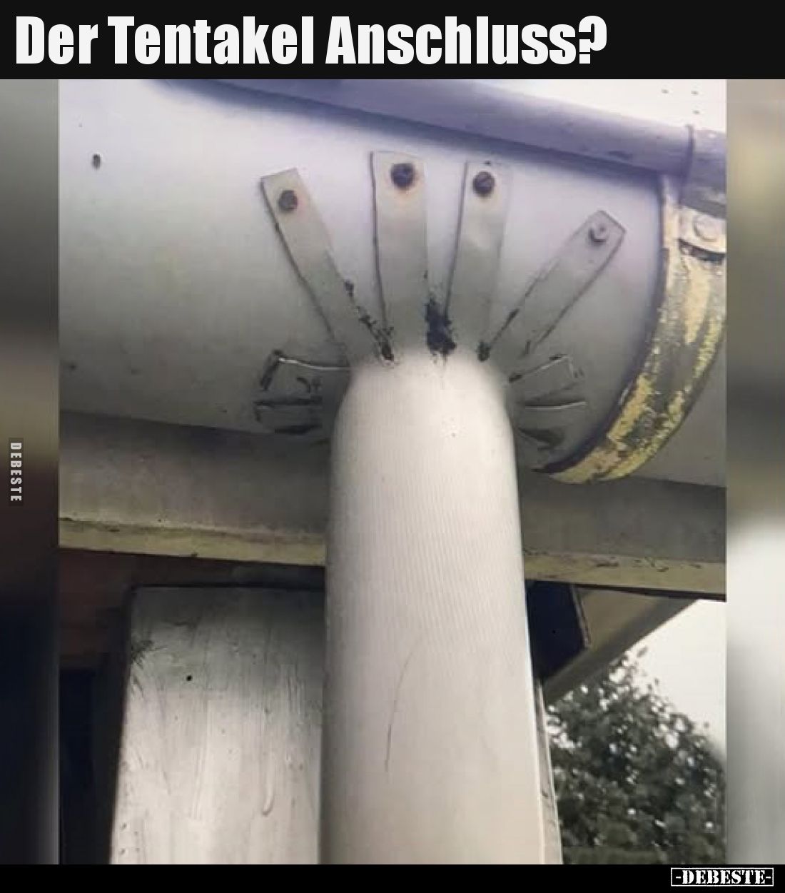 Der Tentakel Anschluss?