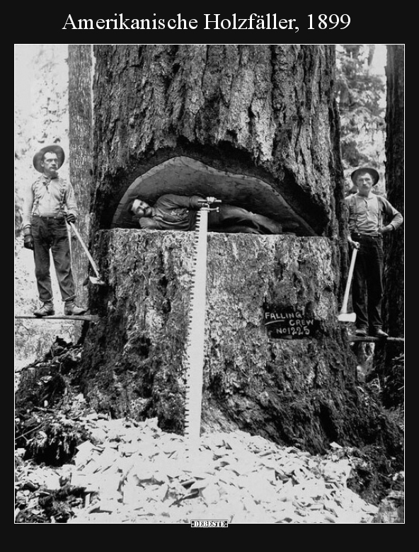 Amerikanische Holzfäller, 1899 - Lustige Bilder | DEBESTE.de