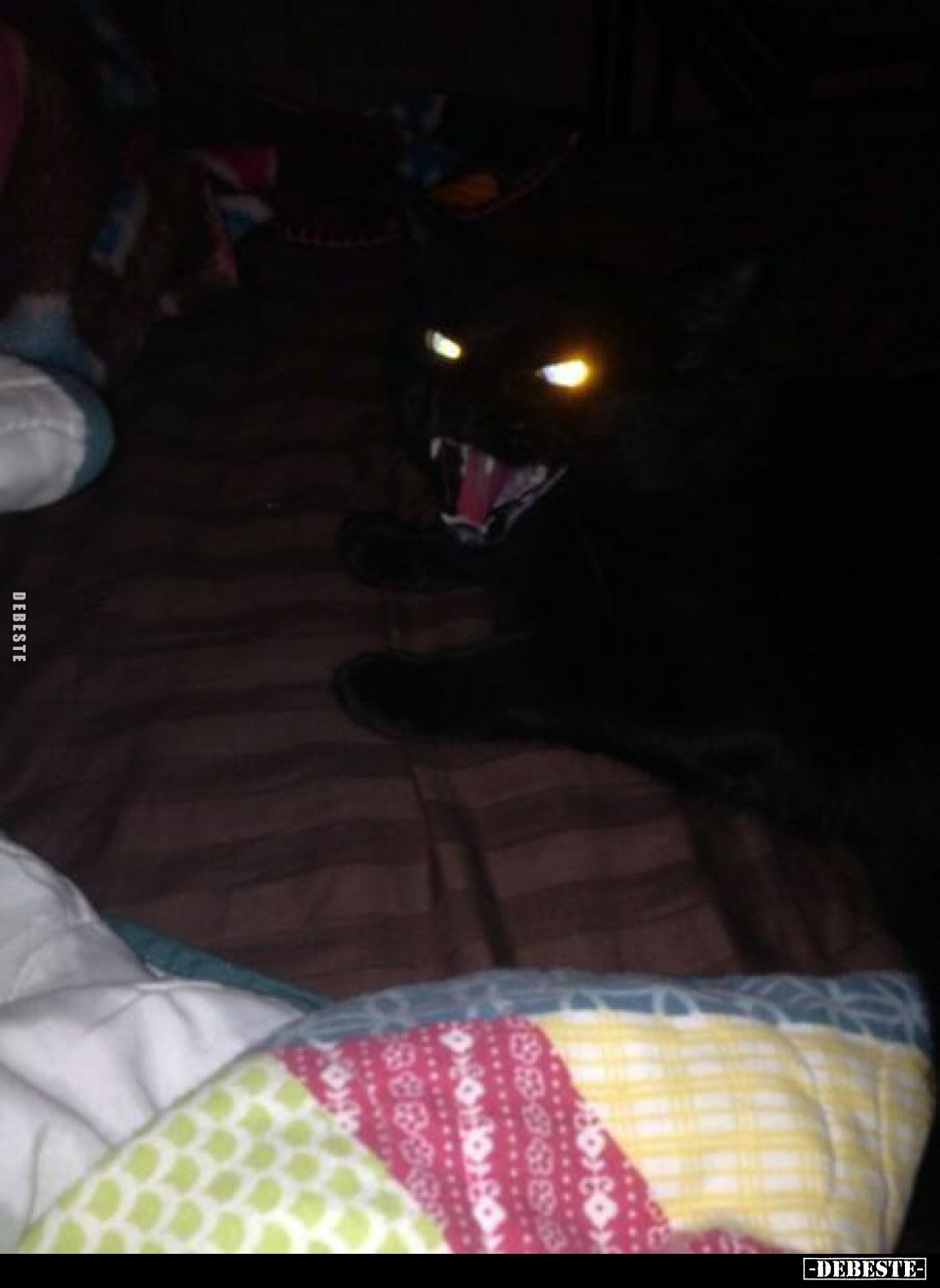  - Lustige Bilder | DEBESTE.de