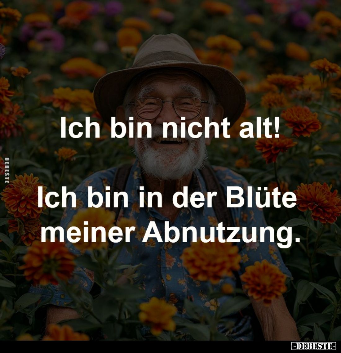 Ich bin nicht alt!
Ich bin in der Blüte meiner Abnutzung.