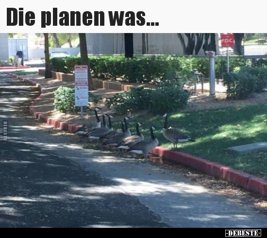 Die planen was...