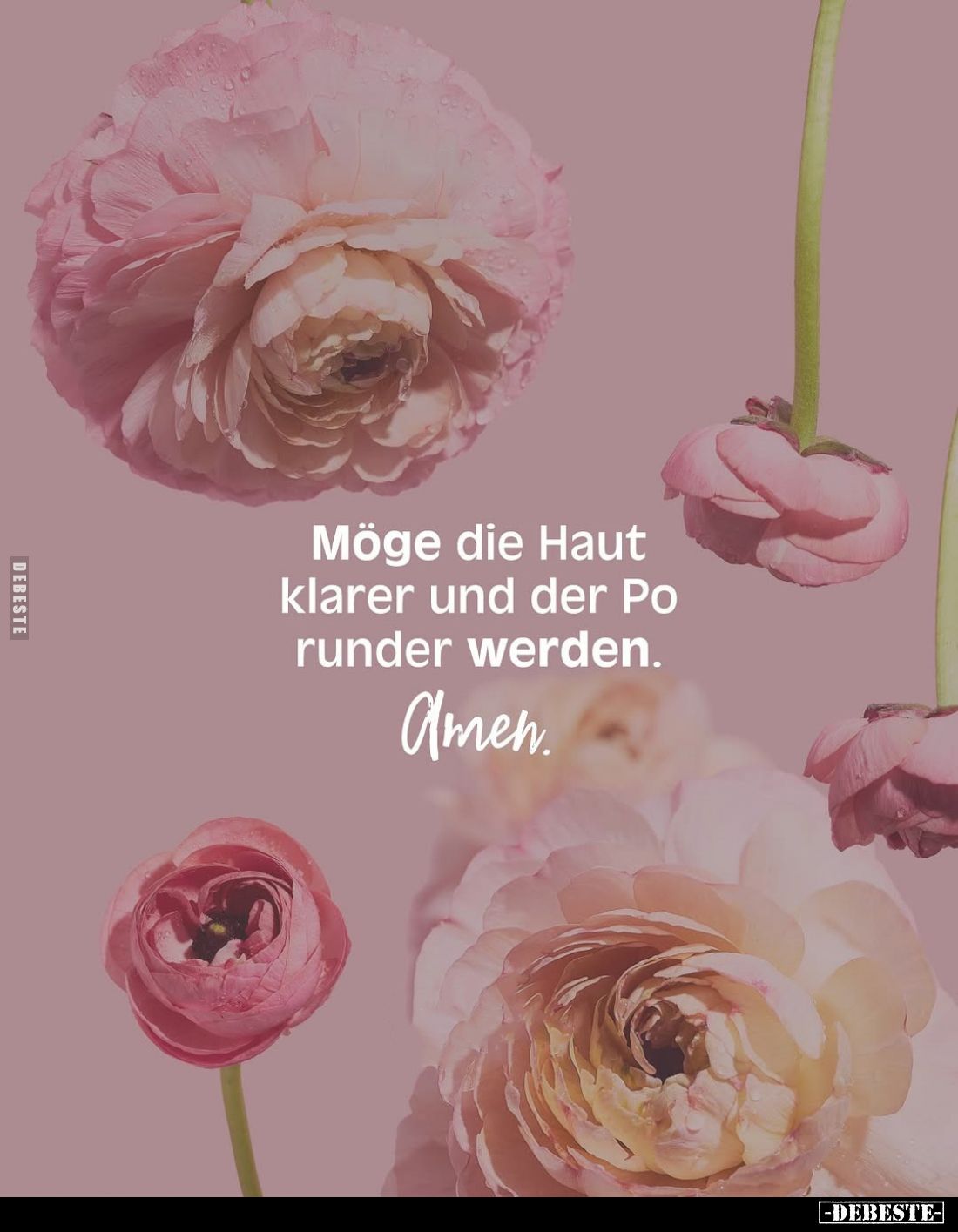 Möge die Haut klarer... - Lustige Bilder | DEBESTE.de