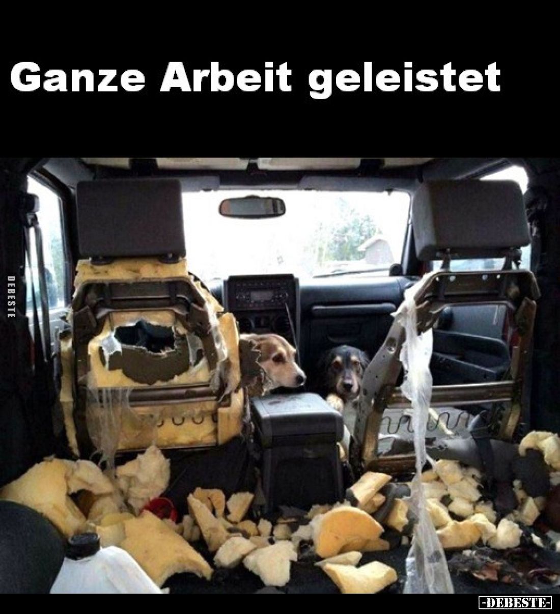 Ganze Arbeit geleistet.. - Lustige Bilder | DEBESTE.de