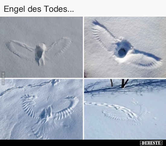 Engel des Todes... - Lustige Bilder | DEBESTE.de
