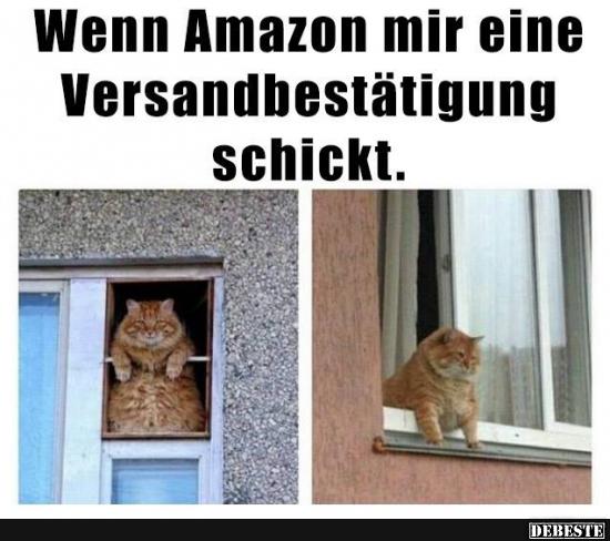 Wenn Amazon mir eine Versandbestätigung schickt..