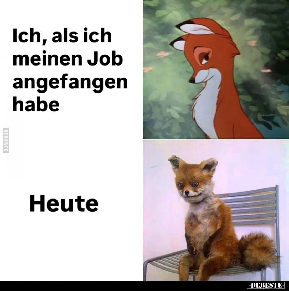 Ich, als ich meinen Job angefangen habe
-
Heute