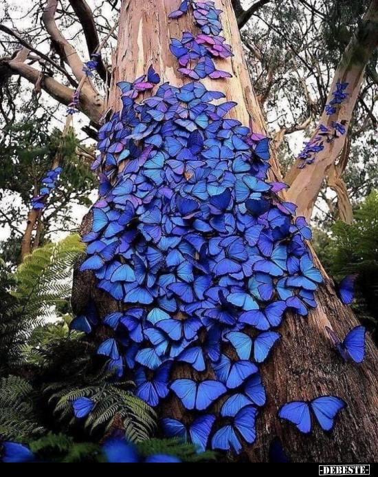  - Lustige Bilder | DEBESTE.de