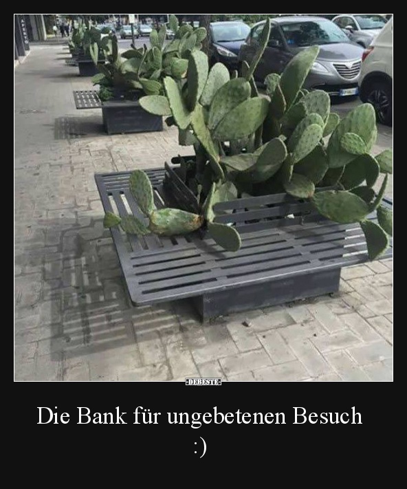 Die Bank für ungebetenen Besuch :) - Lustige Bilder | DEBESTE.de