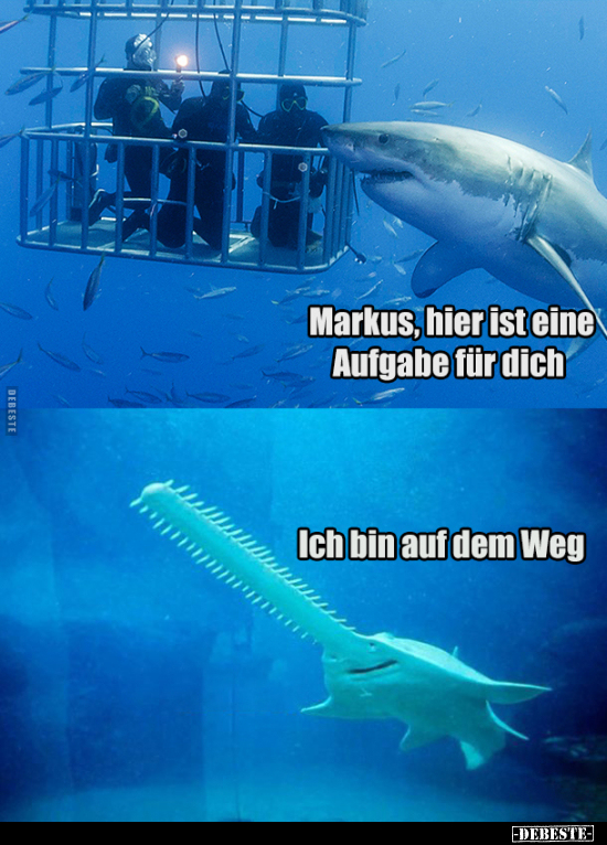 - Markus, hier ist eine Aufgabe für dich.. - Lustige Bilder | DEBESTE.de