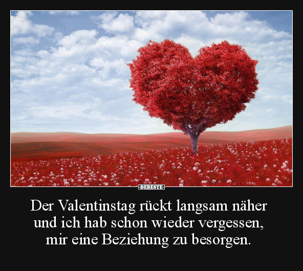 Valentinstag, Langsam, Schon Wieder, Vergessen, Beziehung