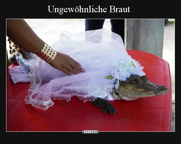 Ungewöhnliche Braut.. - Lustige Bilder | DEBESTE.de