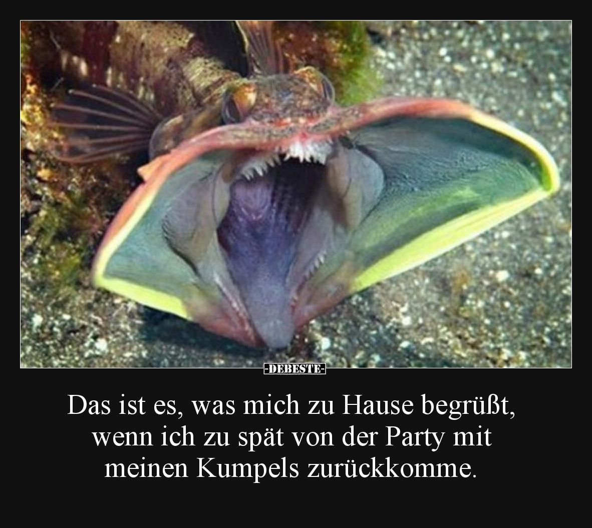 Das ist es, was mich zu Hause begrüßt, wenn ich zu spät von der Party mit meinen Kumpels zurückkomme.