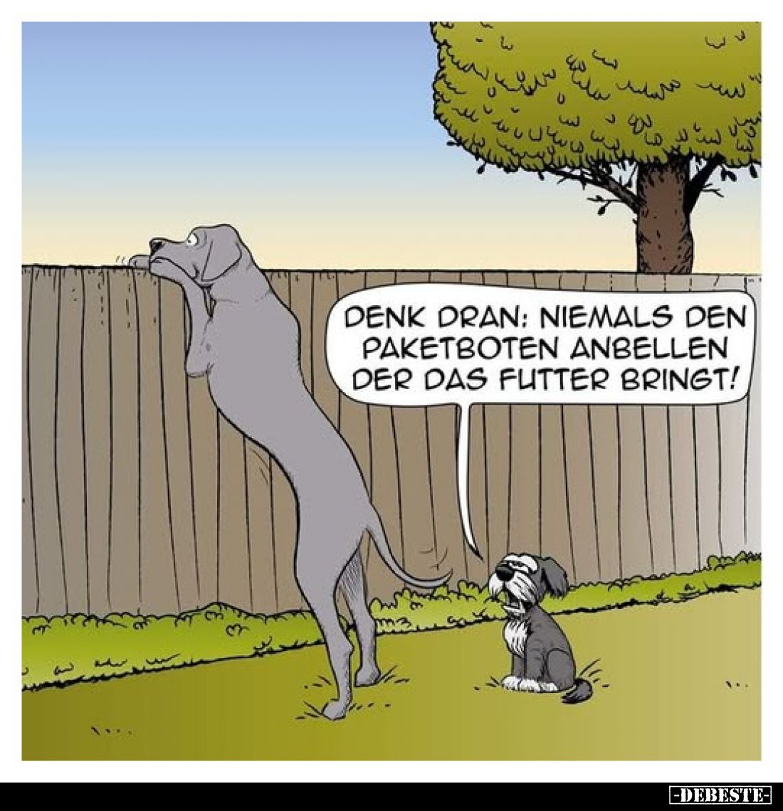 Denk dran: Niemals den Paketboten anbellen der das Futter bringt!