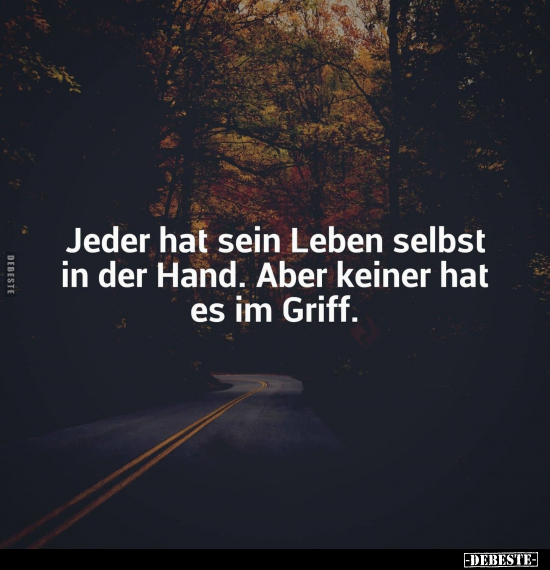 Jeder hat sein Leben selbst in der Hand. Aber keiner hat es im Griff.