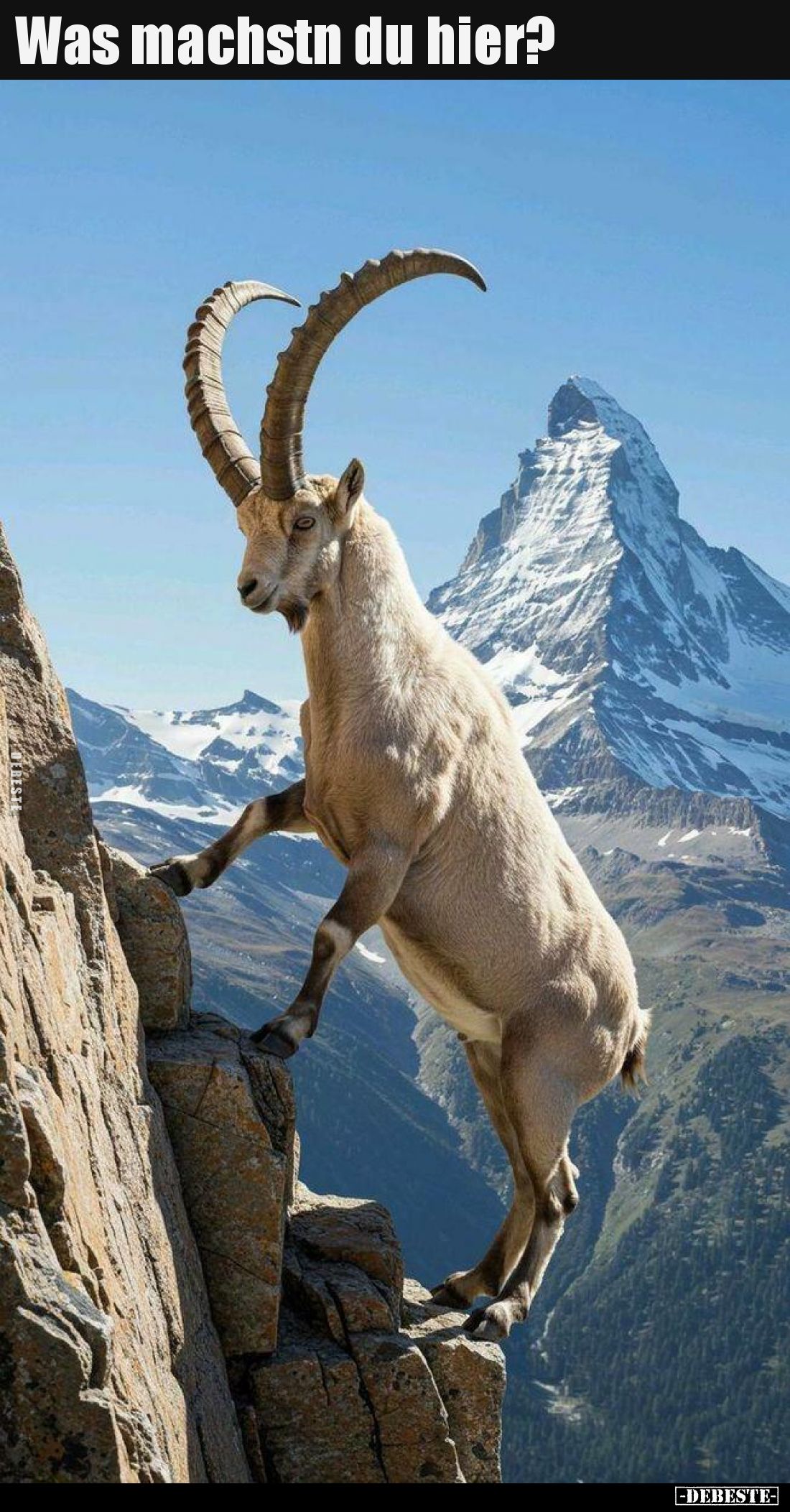 Was machstn du hier?..