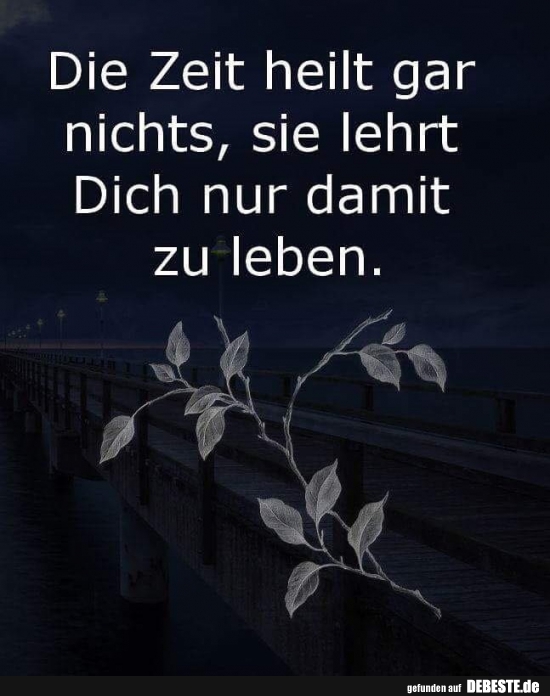 Die Zeit heilt gar nichts, sie lehrt Dich nur damit zu leben.
