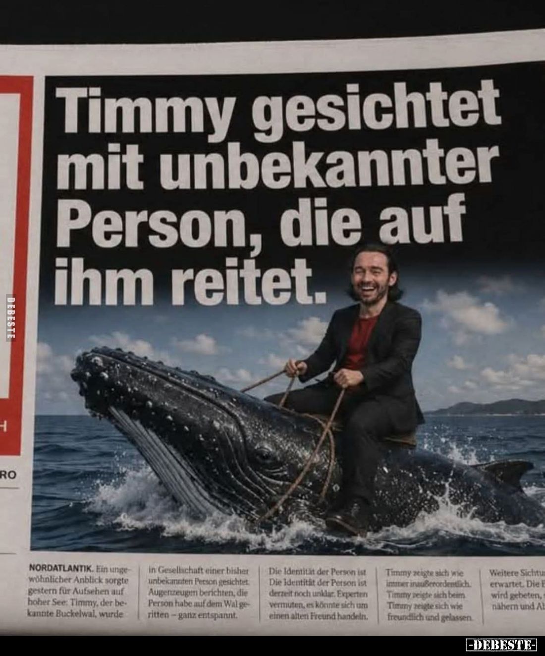 Timmy gesichtet mit unbekannter Person, die auf ihm reitet.