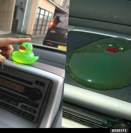  - Lustige Bilder | DEBESTE.de