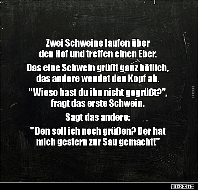 Zwei Schweine laufen über den Hof und treffen einen Eber.. - Lustige Bilder | DEBESTE.de