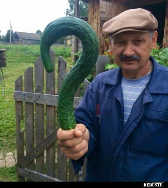 ? - Lustige Bilder | DEBESTE.de