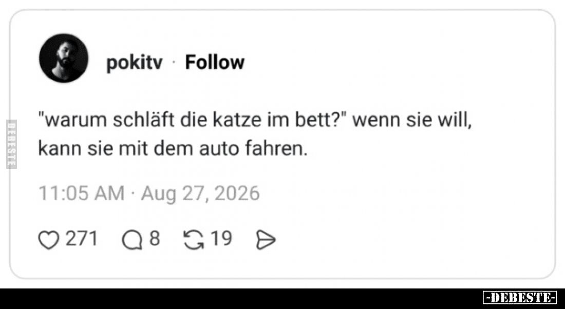 "Warum schläft die Katze im Bett?" wenn sie will, kann sie mit dem Auto fahren.