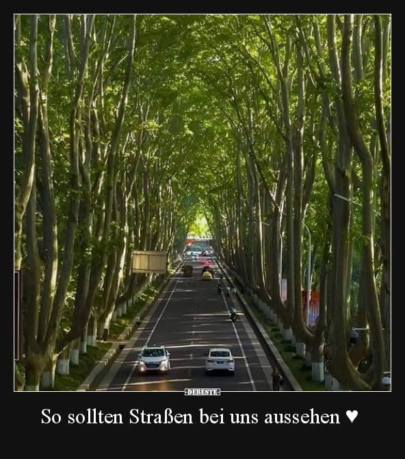 So sollten Straßen bei uns aussehen.. - Lustige Bilder | DEBESTE.de